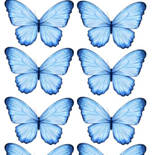 Принт – Butterfly № 10