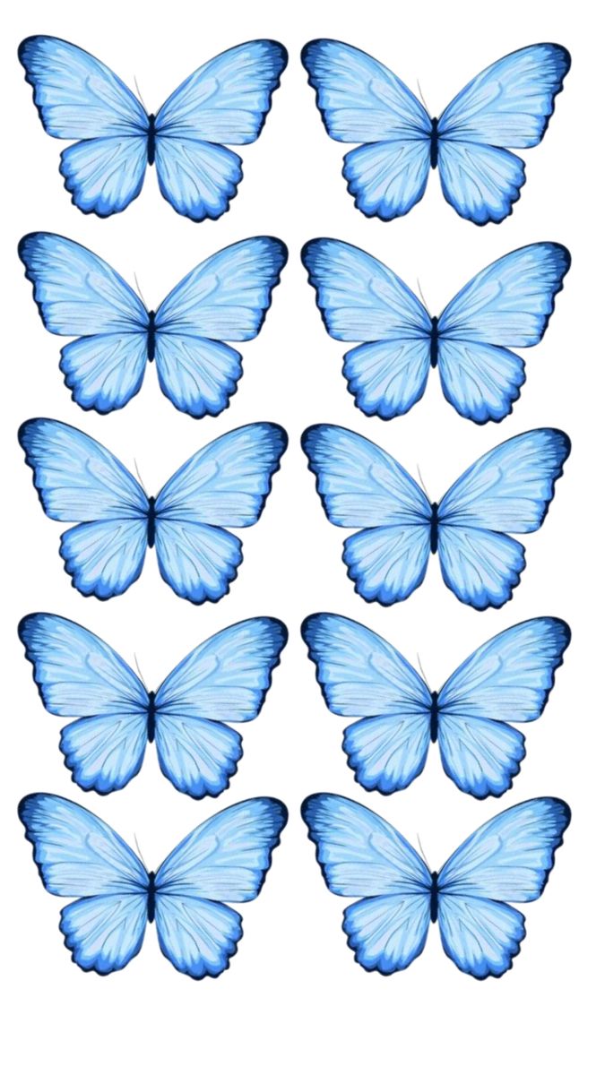 Принт – Butterfly № 10