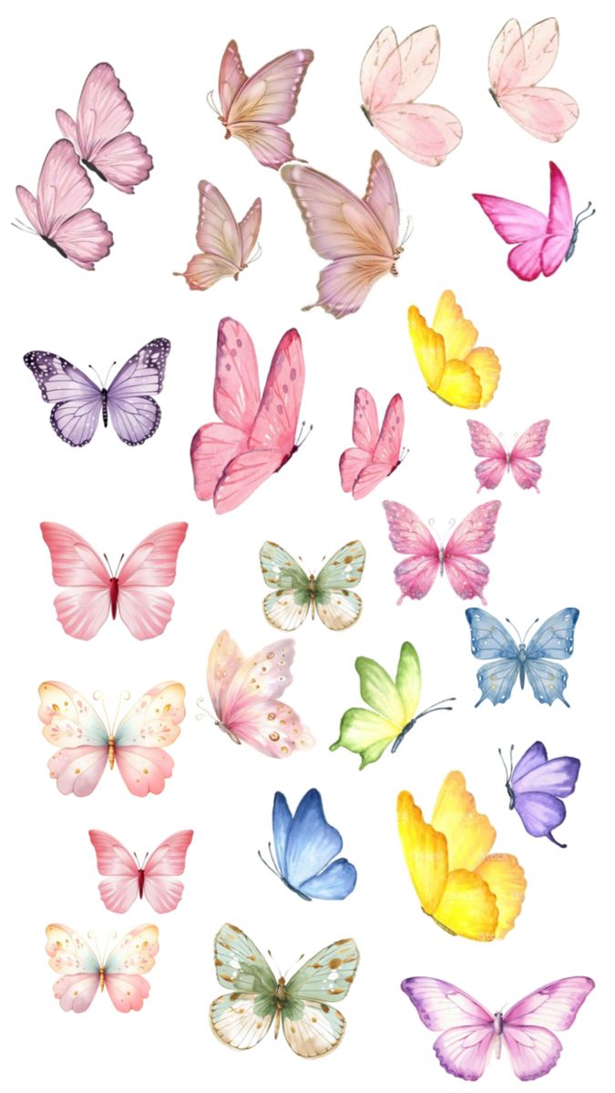 Принт – Butterfly № 2