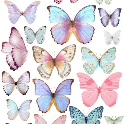 Принт – Butterfly № 3