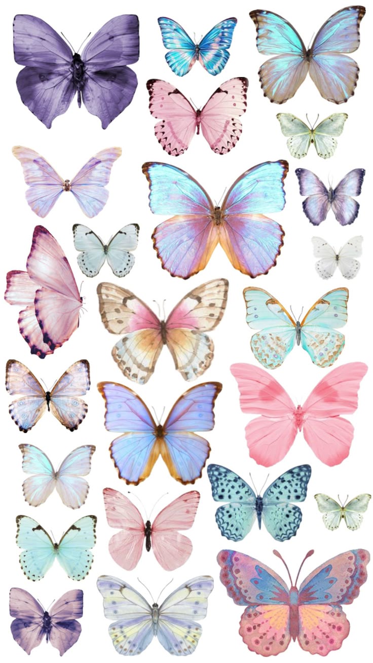Принт – Butterfly № 3