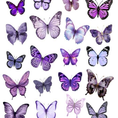 Принт – Butterfly № 4