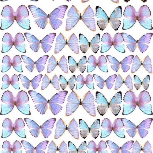 Принт – Butterfly № 14