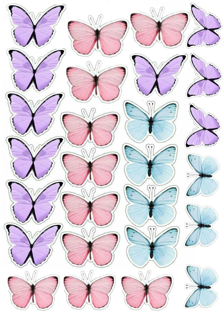 Принт – Butterfly № 12