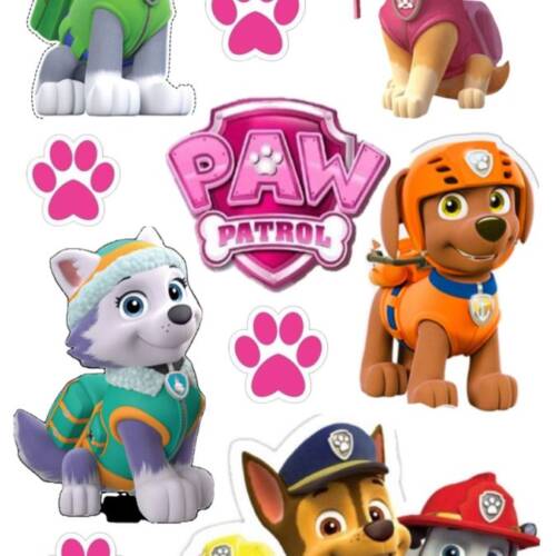 Принт - Paw Patrol № 9