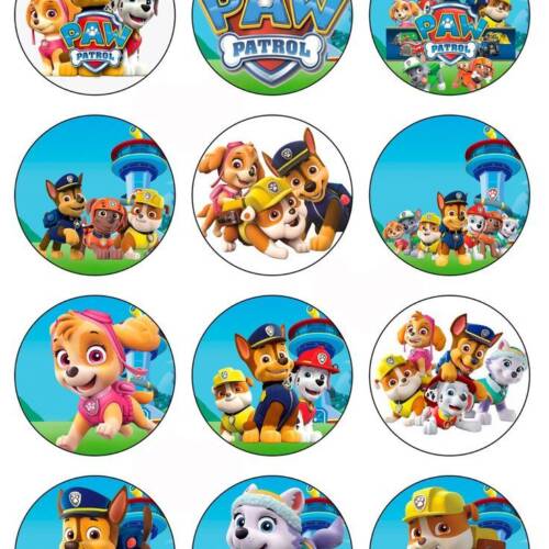 Принт - Paw Patrol № 10